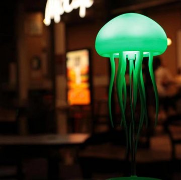 Light Up Their World with the Jellyfish Nightlight!